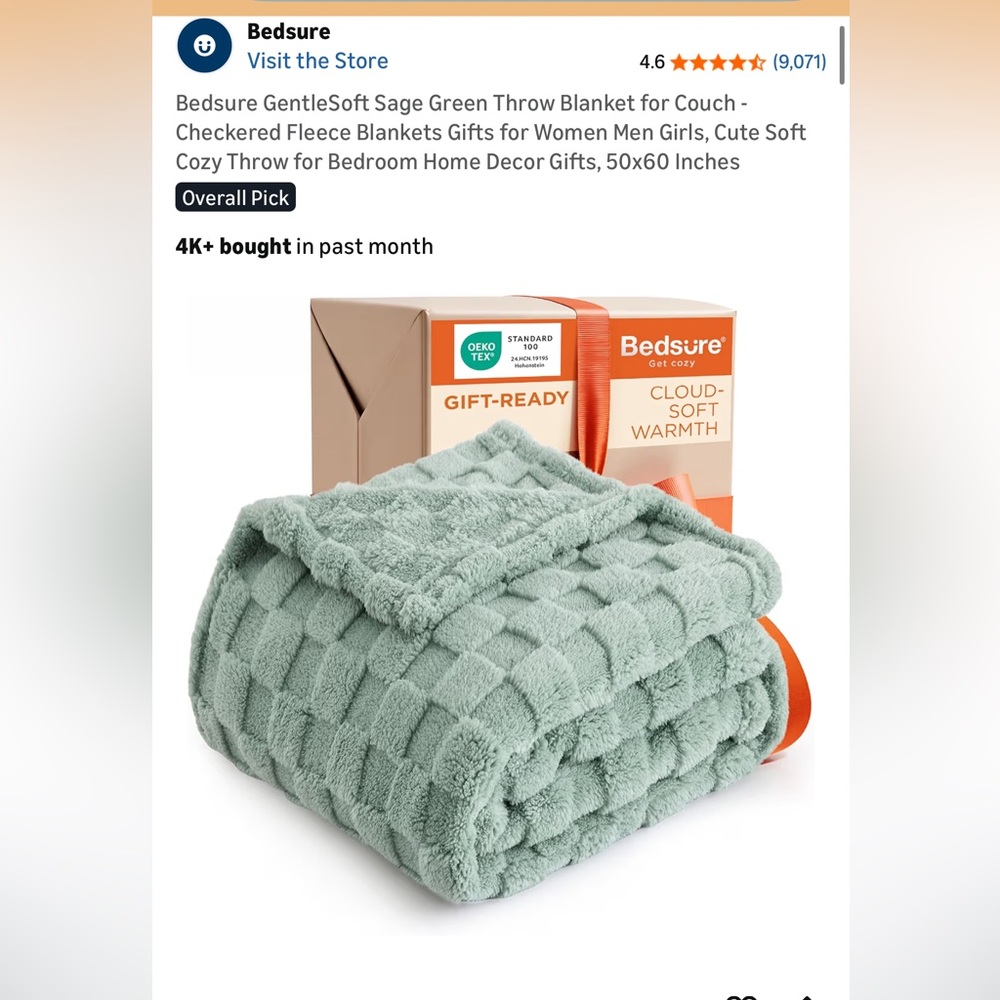 Bedsure Cloud-Soft Warmth Blanket in sage Green